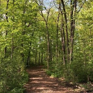 ON HOLD FOR ELLA BOWDEN